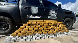 Carga de maconha apreendida por militares do Bope em Porto Real do Colégio - SSP-AL