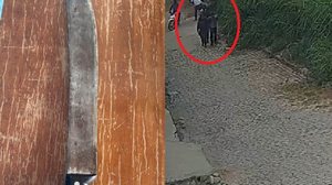 Imagem Vídeo mostra momento em que Guarda Municipal contém homem armado em surto no interior de AL