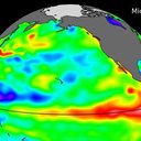 Imagens do satélite mostram variações no nível do mar em junho de 2026; áreas em vermelho indicando águas mais elevadas no Pacífico equatorial, sinal típico associado ao desenvolvimento do El Niño - NASA