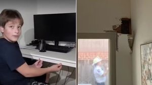Reprodução