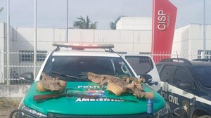Agência Alagoas