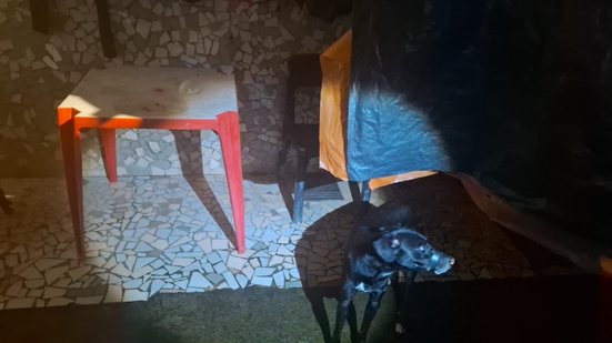 Divulgação