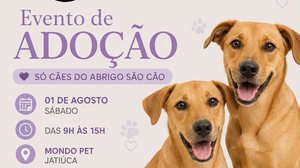 Imagem Abrigo São Cão realiza feira de adoção neste sábado (01)