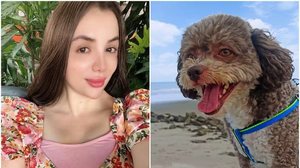 Advogada Lenny Fernandez morreu protegendo seu cachorro durante o terremoto que atingiu a Colômbia - Reprodução / Redes sociais
