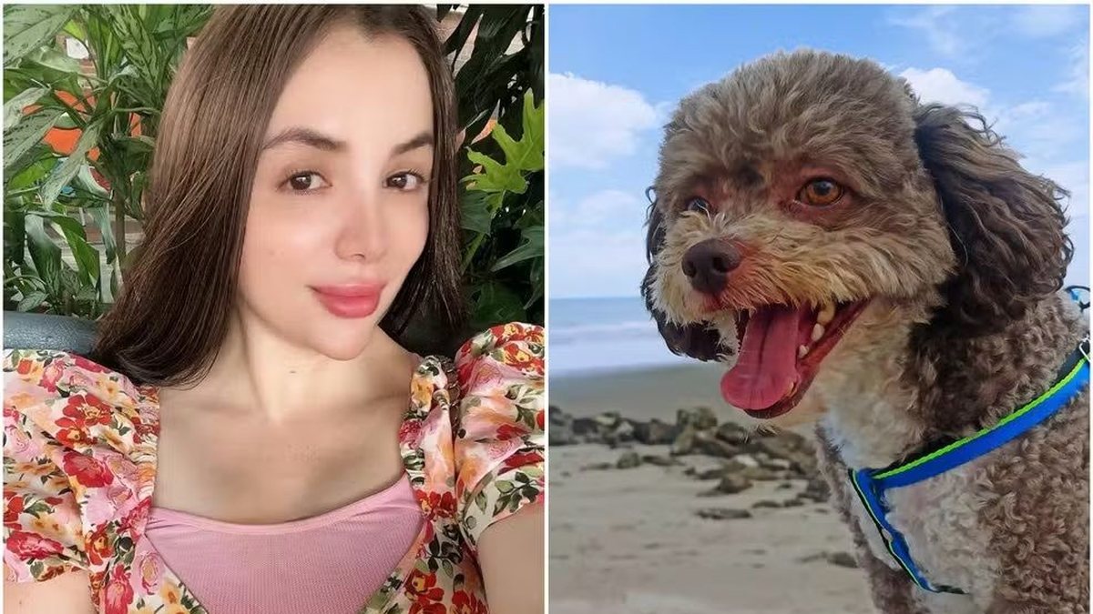 Advogada morre ao proteger cachorro durante terremoto na Colômbia