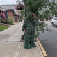 Policial usa disfarce de arbusto para flagrar motoristas