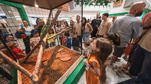 Imagem Arena Pet começa com programação gratuita voltada a negócios e experiências para toda a família