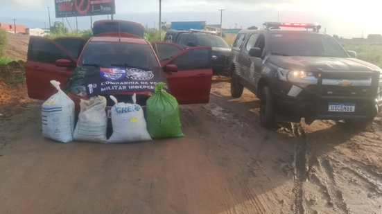 A maconha, que estava preparada para ser prensada, totalizou 35 quilos - Foto: Cortesia/PM