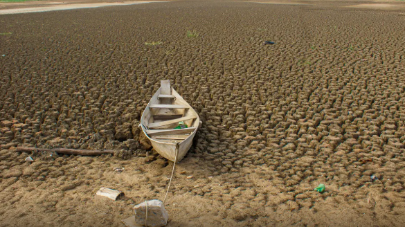 Brasil promete restaurar 163 mil km² de terras degradadas até 2030