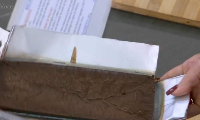 Aprenda a fazer barra de chocolate com 2 ingredientes, testada por Ana Maria