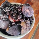 Imagem Feijoada do Aguiar: há 42 anos servindo comida nordestina com fartura e tradição