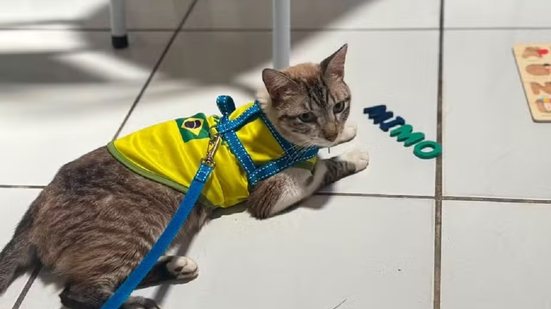 Reprodução