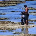 crime ambiental - Divulgação