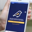 O Pardal é uma ferramenta da Justiça Eleitoral que permite à população comunicar possíveis irregularidades relacionadas à propaganda eleitoral - Foto: TSE