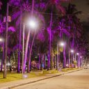 Em alusão ao Agosto Lilás, viadutos e coqueirais da Orla de Ponta Verde recebem iluminação especial na cor da campanha - Foto: Mariel Matias/Secom Maceió