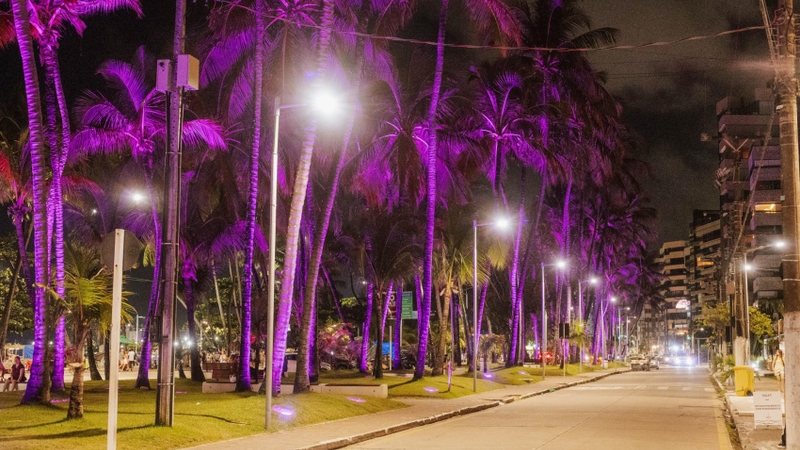 Em alusão ao Agosto Lilás, viadutos e coqueirais da Orla de Ponta Verde recebem iluminação especial na cor da campanha - Foto: Mariel Matias/Secom Maceió