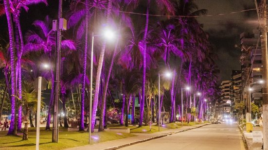 Em alusão ao Agosto Lilás, viadutos e coqueirais da Orla de Ponta Verde recebem iluminação especial na cor da campanha - Foto: Mariel Matias/Secom Maceió
