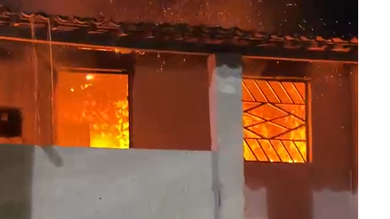 Reprodução