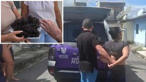Mulher foi presa pela Guarda Municipal. Imagem mostra o cabelo que foi cortado da menina - Reprodução / Izael Nascimento / BR104