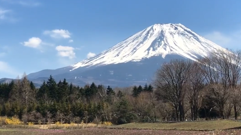 'Espera aqui': pai deixa criança sozinha no Monte Fuji e só volta oito horas depois
