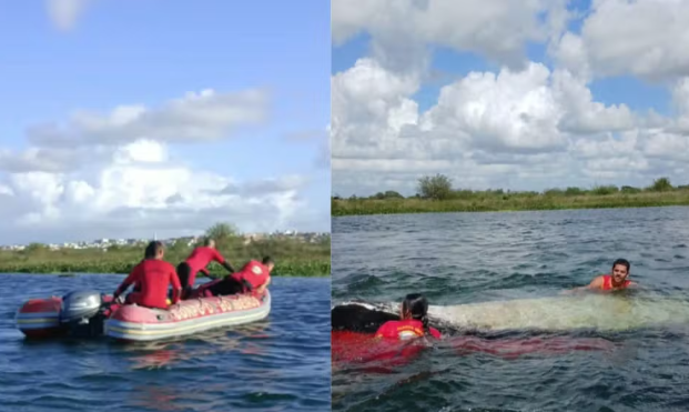 Mulher desaparece após embarcação virar durante travessia no Rio São Francisco