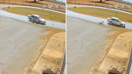 Divulgação/Polícia Militar de Goiás