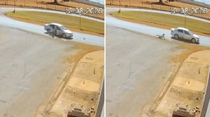 Divulgação/Polícia Militar de Goiás