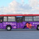 Imagem Ônibus da capital ganham ação de combate ao assédio e importunação sexual