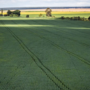 País importa mais de 80% dos insumos utilizados na agricultura - Foto: Agência Brasil