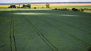 País importa mais de 80% dos insumos utilizados na agricultura - Foto: Agência Brasil