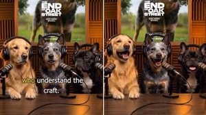 Warner usa cachorros de inteligência artificial para divulgar 'O Fim da Rua' - Reprodução / Warner