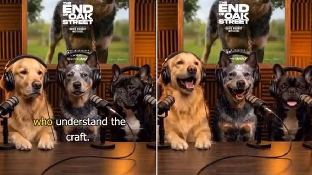 Warner usa cachorros de inteligência artificial para divulgar \u0027O Fim da Rua\u0027