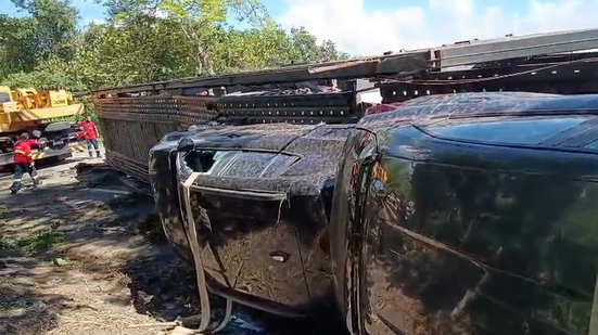 Vídeo: caminhão\u002Dcegonha envolvido em acidente transportava 11 carros