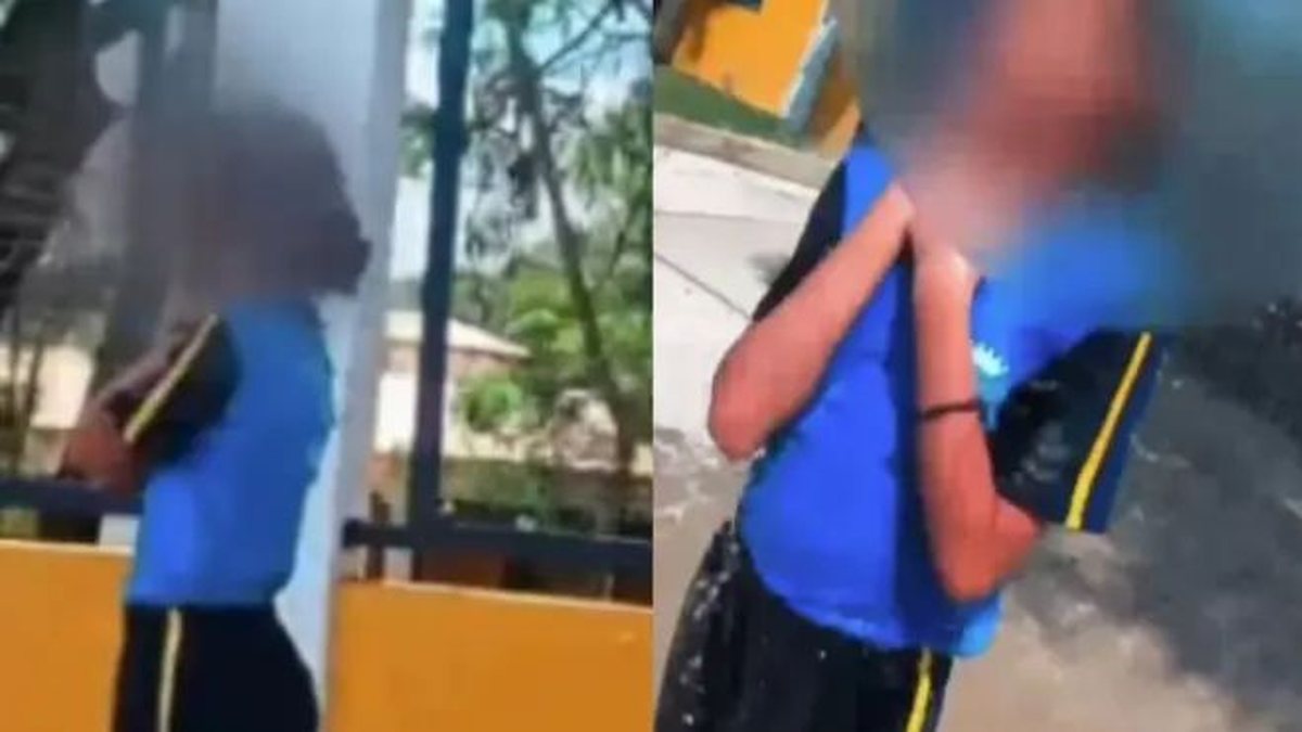 Adolescente atacada por abelhas na Grande BH apresenta melhora e deve deixar CTI, diz família