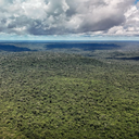Financiamento apoiará medidas voltadas à transição ecológica - Foto: Agência Brasil