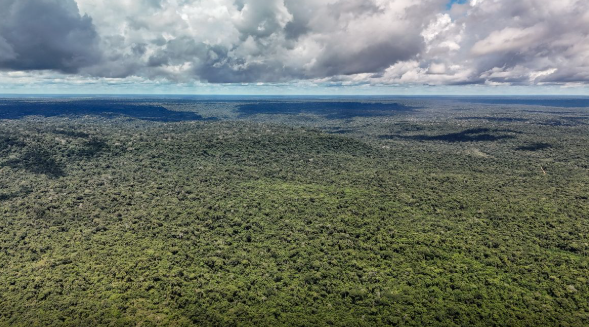 Financiamento apoiará medidas voltadas à transição ecológica - Foto: Agência Brasil