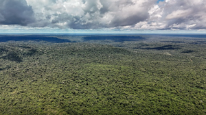 Financiamento apoiará medidas voltadas à transição ecológica - Foto: Agência Brasil
