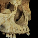 Qian Wang, Faculdade de Odontologia da Universidade Texas A&M