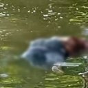 Imagem Corpo encontrado na Lagoa Mundaú tinha duas perfurações no abdômen, aponta perícia
