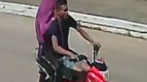 Reprodução