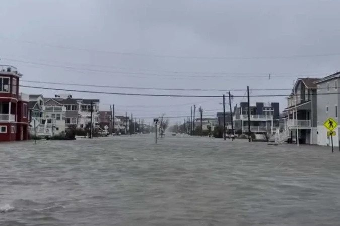 VÍDEO: tubarão aparece nadando em rua durante tempestade e surpreende moradores