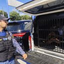 Suspeito tinha mandado de prisão em aberto por tráfico de drogas e foi conduzido à Central de Flagrantes - Foto: Guarda Municipal de Maceió