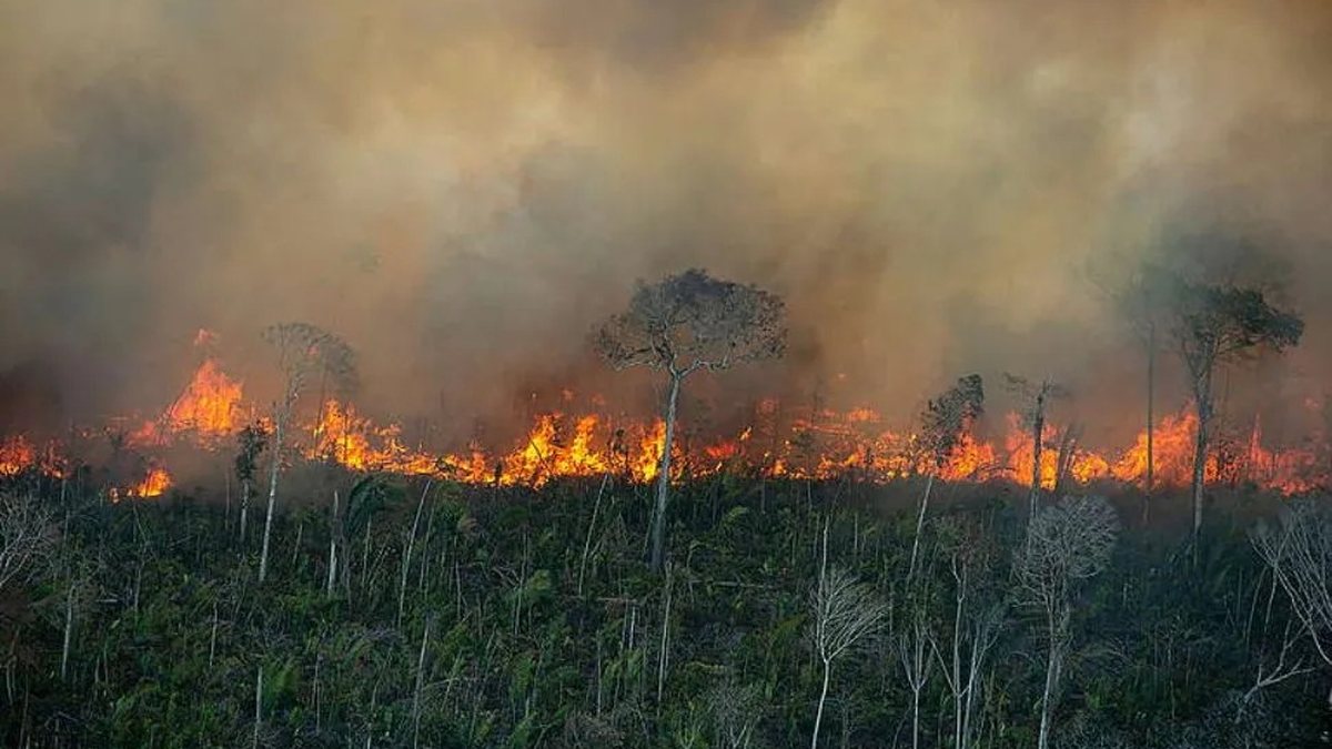 Ibama aplica R$ 2 milhões em multas por incêndios ilegais na Amazônia
