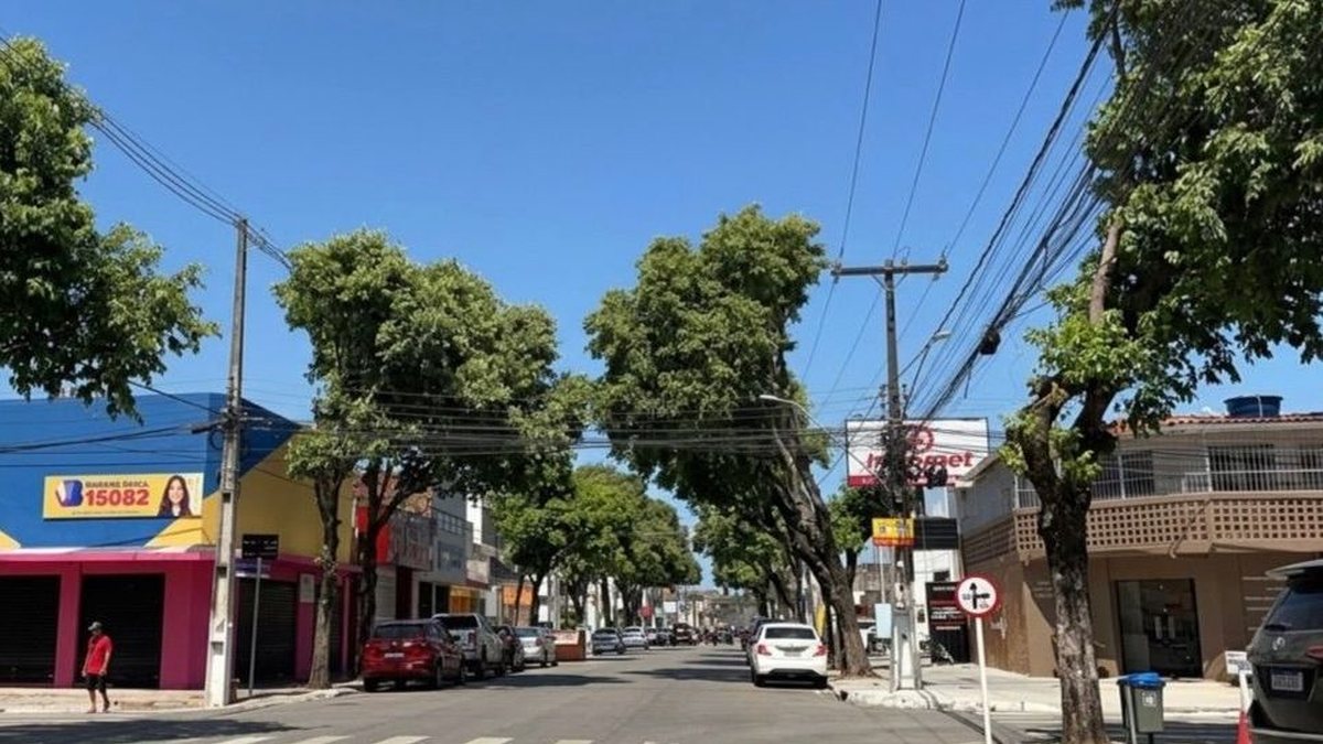 Engenheiro usa IA para ilustrar avenidas de Maceió arborizadas\u003B veja como seriam