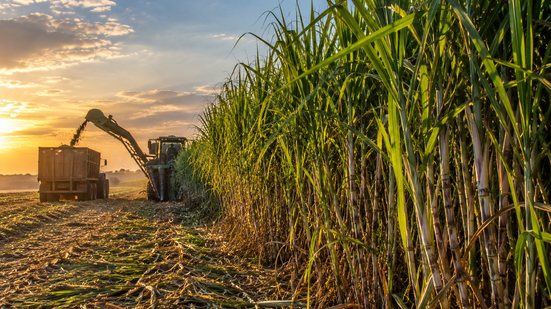Câmara aprova apoio financeiro a produtores de cana\u002Dde\u002Daçúcar no Nordeste