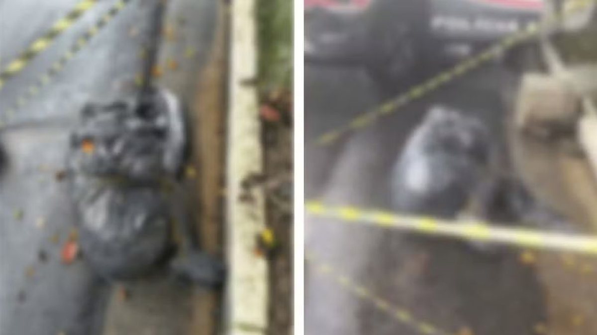 Polícia apura série de mortes suspeitas de execução em SP\u003B corpos foram ensacados, decapitados ou queimados