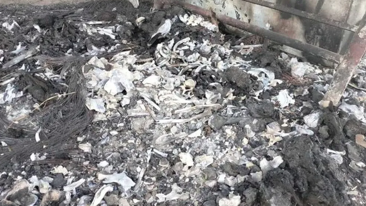 Matador de aluguel diz ter ajudado a incinerar mais de 500 pessoas em rancho usado por cartel mexicano