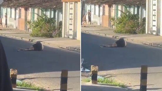 Homem é assassinado a tiros no meio de avenida na Santa Amélia - Reprodução / Redes sociais