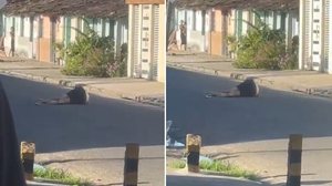 Homem é assassinado a tiros no meio de avenida na Santa Amélia - Reprodução / Redes sociais
