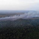 Incêndio na APA Alter do Chão (PA) foi controlado, diz prefeitura - Divulgação / Brigada de Alter do Chão